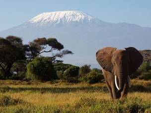 http://images.nationalgeographic.com/wpf/media-live/photos/000/090/cache/mount-kilimanjaro-tanzania_9095_600x450.jpg