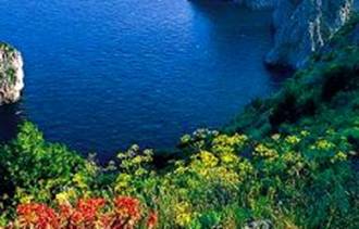 Isle of Capri in Italy