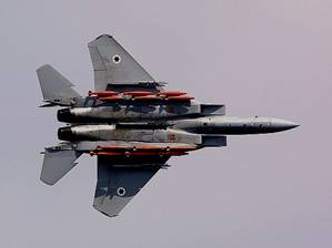 http://www.israeli-weapons.com/weapons/aircraft/f-15i/f-15i_10.jpg