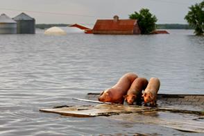 http://news.nationalgeographic.com/news/2008/06/photogalleries/Mississippi-floods-photos/images/primary/1_MISSISSIPPI_461.jpg