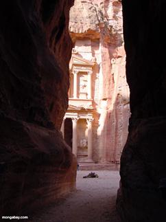 http://places.mongabay.com/jordan/petra_canyon.jpg